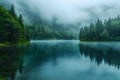 Serene Misty Forest Lake Reflections. Concept Nature Photography, Tranquil Landscapes, Wilderness Royalty Free Stock Photo