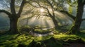 Mystical Forest Glade with Sunbeams Through the Trees and Moss Covered Ground Royalty Free Stock Photo
