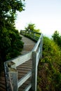 Serene Morning on Michigan Boardwalk Amidst Lush Greenery