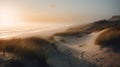 A Serene Morning: Sunrise Over A Valley With Sand Dune, Beach Grass, And Foggy Shoreline Royalty Free Stock Photo