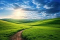 Serene Morning Walk on a Winding Path through a Green Hillside Royalty Free Stock Photo