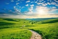 Serene Morning Walk on a Winding Path through a Green Hillside Royalty Free Stock Photo