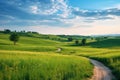 Serene Morning Walk on a Winding Path through a Green Hillside Royalty Free Stock Photo