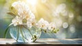 Serene Morning: White Orchids Basking in Sunlight. Generative ai