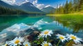 Serene Mountain Lake with Wild Daisies in the Foreground. Generative ai