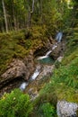 Serene Mountain Stream Cascading Through Lush Austrian Forest in Great Walser Valley Royalty Free Stock Photo