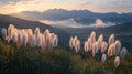 Serene mountain sunrise with pampas grass and misty valleys Royalty Free Stock Photo