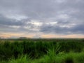 Serene Mountains, Vast Rice Fields, and Endless Sky Bliss Royalty Free Stock Photo