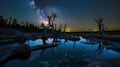 Serene Night Landscape: Milky Way Galaxy Reflecting on Still Water with Dead Trees Royalty Free Stock Photo