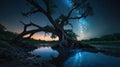 Majestic Ancient Tree Over River at Night Under Milky Way Galaxy Royalty Free Stock Photo