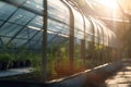 Serene Oasis: A Gorgeous Greenhouse Bursting with Life and Sunlight