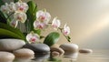 Serene Orchid Spa Scene with Elegant Natural Touches. Royalty Free Stock Photo