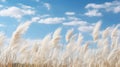 Serene Pampa Grass Under a Light Blue Sky with Clouds AI Generated Royalty Free Stock Photo