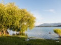 Serene panorama of the calm waters of Panguipulli Lake, from the village of Panguipulli. Patagonian area, Chile