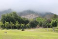 Serene panorama of the tropical paradise island - Hainan