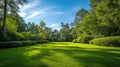 Serene Park Landscape with Lush Greenery and Sunlight