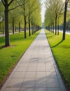 Tree-Lined Park Pathway in Spring Royalty Free Stock Photo