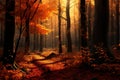 Serene path through a mystical autumn forest bathed in warm sunlight Royalty Free Stock Photo