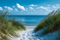Serene Path to Ocean Bliss: Dunes & Blue Skies. Concept Nature Photography, Coastal Landscape, Royalty Free Stock Photo