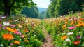 A serene path through a vibrant meadow of blossoming flowers in full bloom, illuminated by sunlight. Generative AI Royalty Free Stock Photo