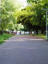 A serene path winds through a lush park, dappled with sunlight and framed by towering trees, inviting exploration and tranquility.