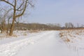 Serene path in the Winter