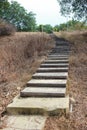 stairs in the park Royalty Free Stock Photo