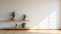 Serene And Peaceful Ambiance: Plants On Shelves In A White Wall