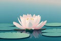 close-up of a single lotus flower floating on the surface of a tranquil blue pond (AIgen)