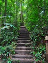 Serene and peaceful stairway in a forest