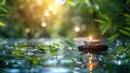 Tranquil Spa Still Life with Candle, Stone, Bamboo in Nature on Water Royalty Free Stock Photo