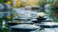 Tranquil Zen Garden with Massage Stones and Water Lily for Relaxation and Meditation Royalty Free Stock Photo