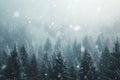 A serene photograph capturing the beauty of a winter landscape, featuring a dense forest blanketed in snow, A fierce snowstorm