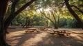 Serene picnic area surrounded by trees, illuminated by soft sunlight Royalty Free Stock Photo