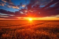 A serene and picturesque scene of the sun setting over a field of wheat, creating a warm and golden glow on the tranquil landscape Royalty Free Stock Photo