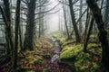 Serene Pine Forest in Misty Hues