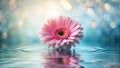 Serene pink blossom floating gently on tranquil water surface with soft bokeh background. Generative AI Royalty Free Stock Photo