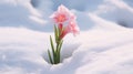 Serene Pink Flower In Deep Snow: A Naturecore Masterpiece Royalty Free Stock Photo