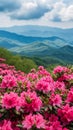 Serene Pink Flowers and Majestic Mountains in a Spacious Field