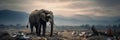 Serene yet poignant image of a majestic elephant standing alone in a barren landscape, surrounded by trash, concept of