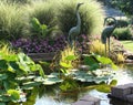 Serene Pond Garden Royalty Free Stock Photo