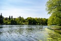 Serene Pond View Within High Park Toronto Grounds Royalty Free Stock Photo