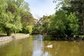 Serene Pond View Within High Park Toronto Grounds Royalty Free Stock Photo