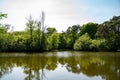 Serene Pond View Within High Park Toronto Grounds Royalty Free Stock Photo