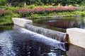 Native Plant Garden at New York Botanical Garden. Royalty Free Stock Photo