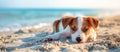 Serene Puppy Enjoying a Peaceful Sunset on the Beach - Generative AI