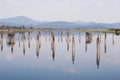 Serene Reflections: Nature's Harmony in Pend Orielle County Washington State