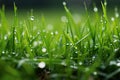 Serene and refreshing defocused green grass with mesmerizing water droplets bokeh background Royalty Free Stock Photo