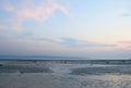 Serene Relaxing Beach in Low Tide Landscape with Colorful Sky at Dawn - Vijaynagar Beach, Havelock, Andaman Islands