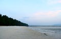 Serene Relaxing Sandy Beach Landscape with Lush Green Palm Trees with Sky at Dawn - Vijaynagar Beach, Havelock, Andaman Islands Royalty Free Stock Photo